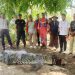 Buaya Sepanjang 4 Meter Dievakuasi Damkar Tanjungpinang, Sempat Ditangkap Nelayan Pakai Jaring Ikan