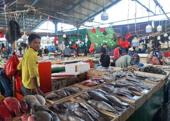 Ketersediaan Ikan Semarang Hanya 11 Persen, Agustina Dorong Pengembangan Pelabuhan Perikanan