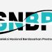 Hasil SNBP 2026: Cek & Cetak Kartu Peserta Hari Ini Pukul 15.00 WIB