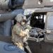 US targets seven ‘unsinkable’ islands in Hormuz