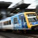 Commuter Chaos: Free Transport’s Dog’s Breakfast