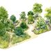 King’s Nature-Inspired Garden Blooms for RHS
