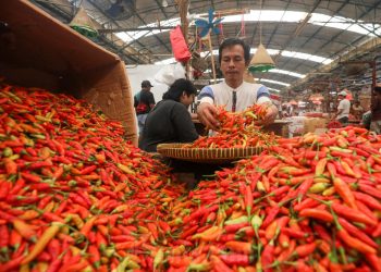 Harga Pangan 31 Maret: Cabai, Daging, Telur Kompak Anjlok