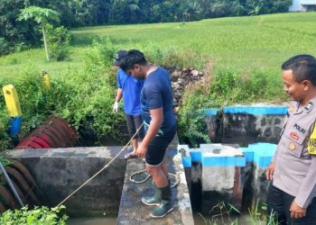 Pencarian Bocah Hilang di DAM Colo Diperluas, Ratusan Orang Ikut Berpartisipasi