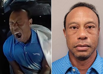 Alison Boshoff: The Secret Behind Tiger Woods’ Arrest and the Woman Who Could Rescue Him