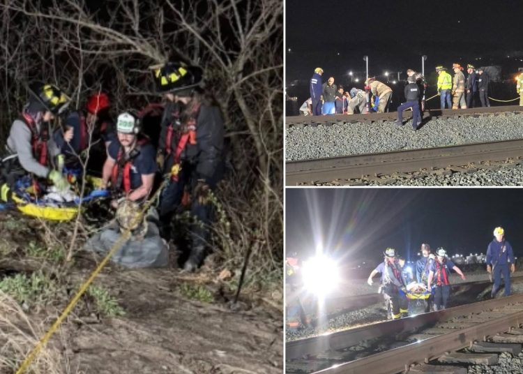 Fisherman rescued 20 feet down hillside