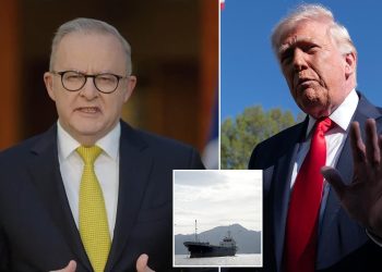 Albanese Speaks Out on Trump’s Hormuz Threat