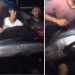 Aksi warga Balikpapan tangkap ikan layaran viral di Manggar