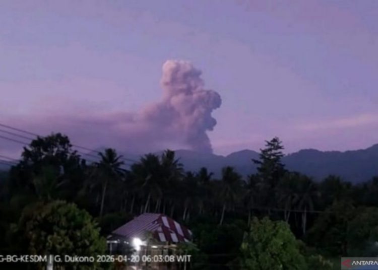 Gunung Dukono Meletus, Abu Vulkanik Mencapai 1.400 Meter