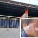Tertipu Ulasan Google, Orang Tua Menyesal Anaknya Luka Usai Disewa Daycare Little Aresha Jogja