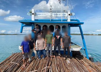 Polda Kepri Gagalkan Penyelundupan 12 Ribu Kayu Bakau ke Singapura