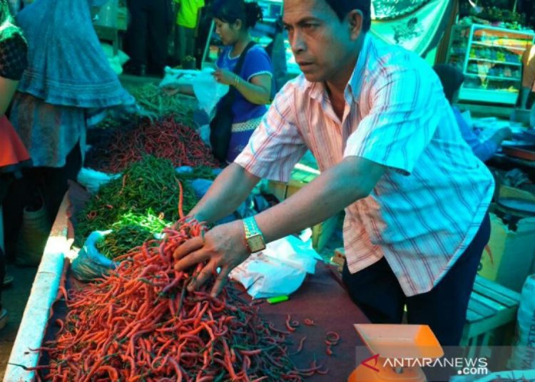 Harga Cabai Merah di Solok Selatan Melonjak Tajam Pekan Keempat April 2026