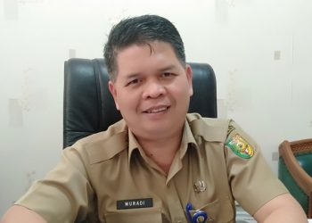 PAD Kuansing Capai Rp 400 Miliar, Wabup Usulkan Retribusi Rp 20 dari TBS