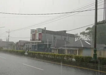 Prakiraan Cuaca Bengkulu Selatan 15 April 2026: Kedurang–Air Nipis Diguyur Hujan Ringan