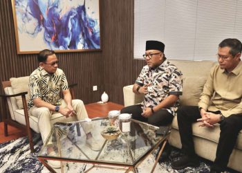 Percepat Relokasi RSUD, Walikota Lis Temui Dirjen ATR/BPN Bahas Lahan dan RDTR