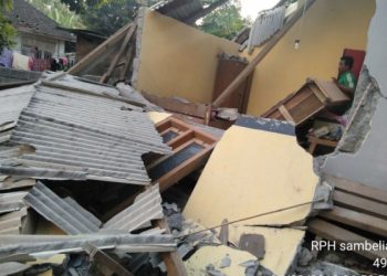 Gempa Tektonik Teluk Wondama M 4,4 Akibat Sesar Aktif