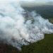 9 titik panas di Riau, semua di Pelalawan