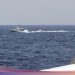 Trump Larang Kapal di Selat Hormuz, Putin Siap Intervensi