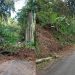 Hujan Deras Longsorkan Jalur Ngebel, Akses Ponorogo Ditutup Total