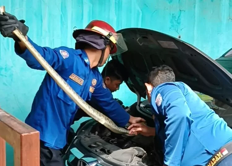 Ular Masuk Mesin Mobil, Damkar Evakuasi Warga Kediri