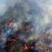 Hotspot Riau Meningkat, Terbesar di Sumatera dan Masih Berpusat di Bengkalis