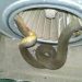 Riko terkejut temukan ular python 2 meter di bawah mesin cuci