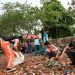 Pemprov Kepri Gencarkan Gerakan Wisata Bersih di Pulau Penyengat, Targetkan Green Tourism 2026