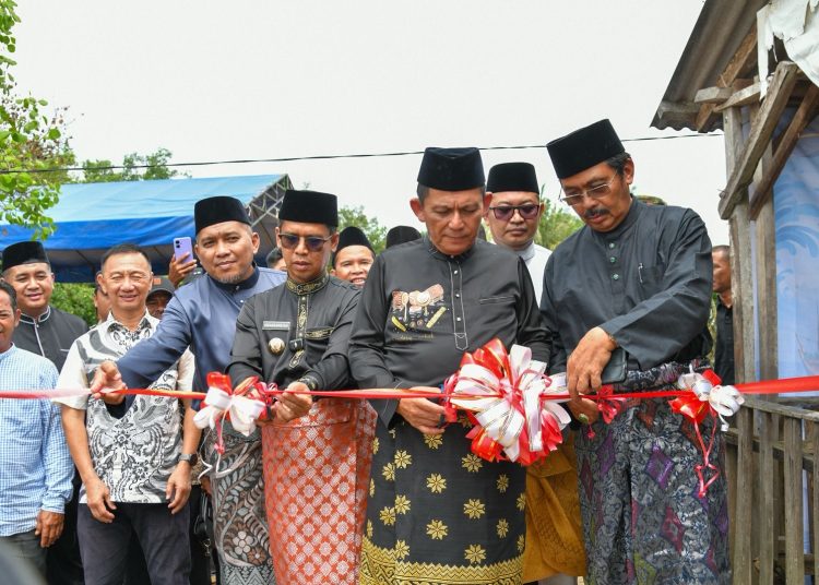 Gubernur Ansar Resmikan Tambatan Perahu Nelayan Teluk Umah Karimun, Kapasitas 100 Kapal 1-5 GT