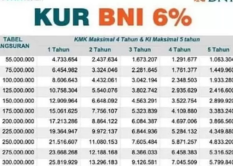 Ajukan KUR BNI? Cek Syarat, Plafon, dan Cara Mudah di Sini