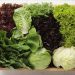 Sayur Bantu Turunkan Berat Badan? Ini Penjelasan Dokter