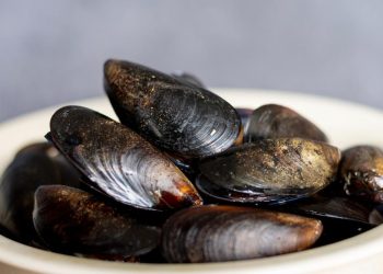 7 cara menyimpan kerang, simpan dalam wadah terbuka