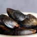 7 cara menyimpan kerang, simpan dalam wadah terbuka