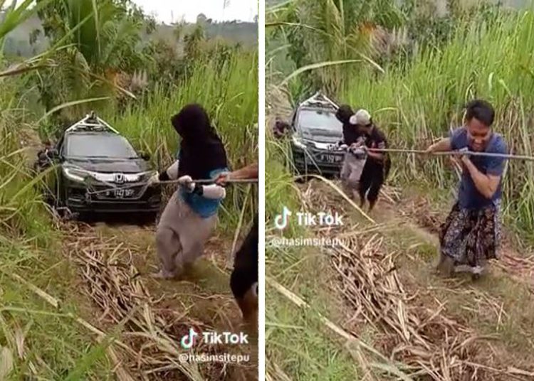 Wajib Tahu: Cara Benar Mengatur Google Maps Agar Tak Terkecoh