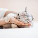 6 Manfaat Tak Terduga Merawat Kucing