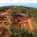 Weda Bay Nickel Hentikan Tambang Sampai Mei 2026 Karena Kuota Habis