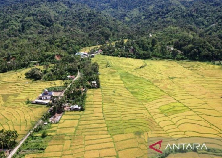 Masyarakat Beutong Ateuh Minta Prabowo, Teungku Diwa: Kami Tak Butuh Tambang Emas