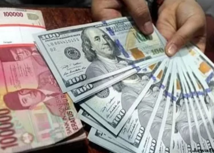 Rupiah Tertekan, Solusi Habibie Terkait Prabowo?