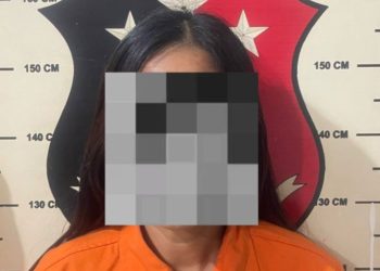 Kurang dari 2 Pekan, Polsek Bengkong Bekuk Pelaku Curanmor di Happy Green Town