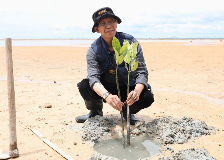 Amsakar dan Mahasiswa UNRIKA Tanam 2.000 Mangrove di Tanjung Bemban