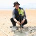 Amsakar dan Mahasiswa UNRIKA Tanam 2.000 Mangrove di Tanjung Bemban