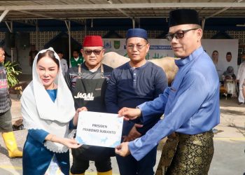 Plh Wali Kota Li Claudia Chandra Serahkan Sapi Kurban Presiden Prabowo di Masjid Agung Batam