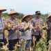 Polsek Galang Panen Raya 10 Ton Jagung Pipil di Sei Gong, Dukung Swasembada Pangan 2026