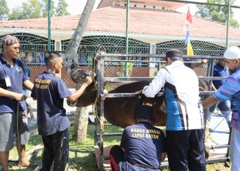 Lapas Batam Sembelih 8 Ekor Hewan Kurban pada Iduladha 1447 H