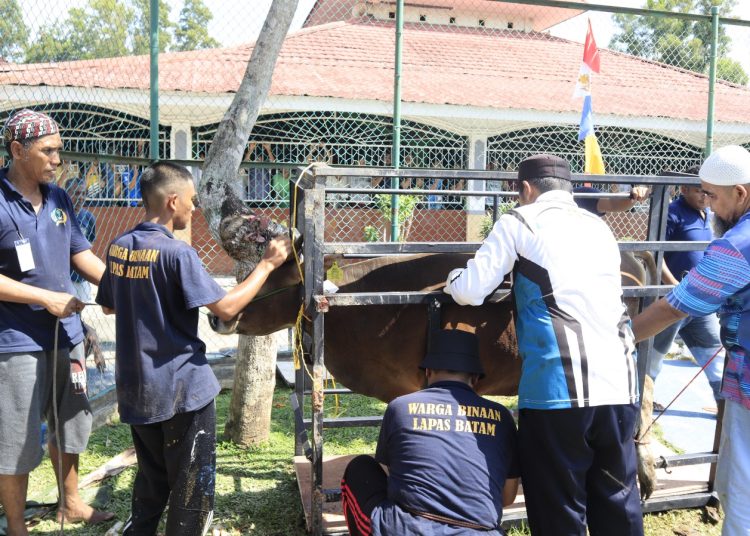 Lapas Batam Sembelih 8 Ekor Hewan Kurban pada Iduladha 1447 H