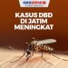 DBD di Bangko Capai 35 Kasus Hingga April, Tertinggi di Rohil