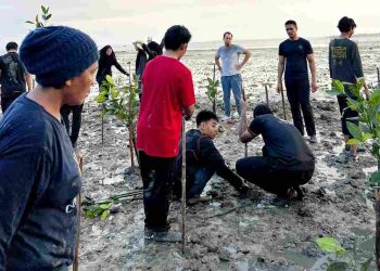 Tarik Minat Turis Mancanegara, Komunitas Lokal Boyong Pelajar Singapura Riset Lapangan di Pulau Penyengat
