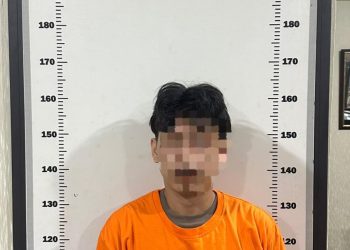 Sabu di Bandara dan Ganja 5 Kg Digagalkan, Ditresnarkoba Polda Kepri Gulung Empat Kurir Jaringan