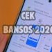 Portal Perlinsos Diluncurkan: Cek Bansos 2026 Lewat HP