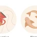 Ramalan Zodiak 3 Juni 2026: Aquarius & Pisces Ungkap Nasib Cinta, Karir, Kesehatan, Finansial