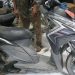 Lelang Vario Techno 2011: Mulai Rp2 Juta!